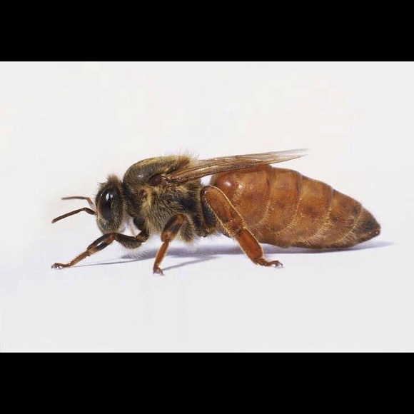 Meet your Posher, Scott - Picture 1 of 1